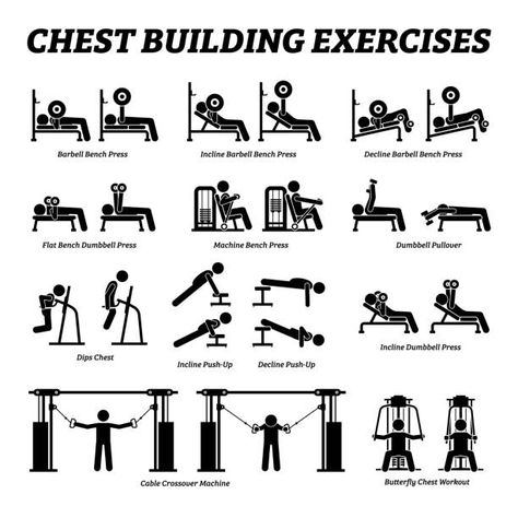 Gym Pictogram, Chest Workout Women Gym Machines, Fitness Body Men, Gym Tools, Functional Workout, Chest Workout For Men, Beginner Pilates, Fitness Studio Training, Autocad Tutorial