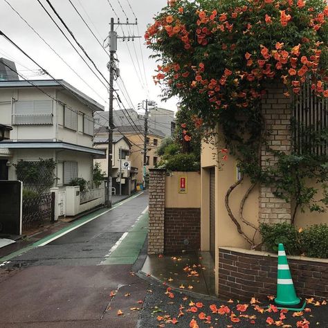 Japan Core, Japanese Countryside, Japan Street, Power Lines, Japan Aesthetic, Aesthetic Japan, Japanese Aesthetic, Round The World, City Aesthetic