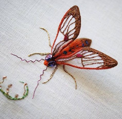 I ❤ stumpwork . . . Tropical Moth in Stumpwork ~By Laura Baverstock (Courtesy of Royal School of Needlework Embroidered Insects, Stump Work Embroidery, Brazilian Embroidery Patterns, Insect Embroidery, Stumpwork Embroidery, Brazilian Embroidery Stitches, Dimensional Embroidery, Needle Painting, Hardanger Embroidery