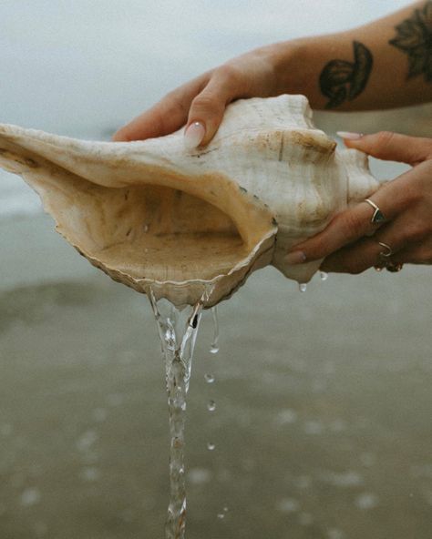 beach photoshoot, Beach aesthetic, seashell aesthetic, mermaid vibes, san diego photographer Seashell Mood Board, Beach Woman Aesthetic, Water Photoshoot Aesthetic, Beach Mood Board Aesthetic, Seashell Photoshoot, Ocean Vintage Aesthetic, Renewal Aesthetic, Seaglass Aesthetic, Beach Shoot Ideas Photoshoot