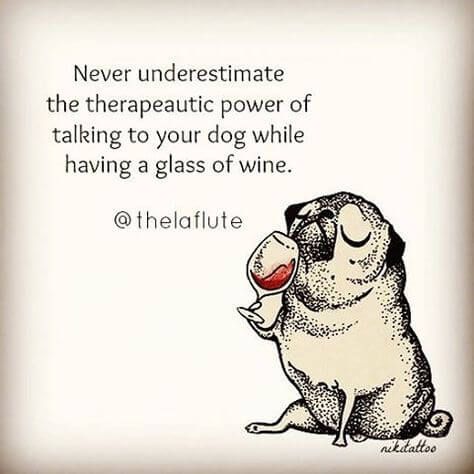 Funny Animals Pictures, Drinking Wine, Animals Pictures, Wine Quotes, A Glass Of Wine, Pug Love, Glass Of Wine, Dog Quotes, Whippet