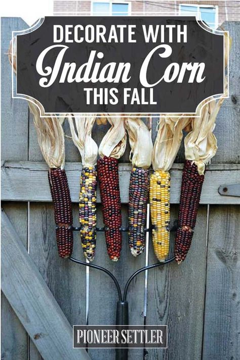 DIY Ideas for Indian Corn To Decorate Your House This Fall | Homesteading Simple Self Sufficient Off-The-Grid | Homesteading.com Singing Pumpkins, Indian Diy, Homesteading Diy Projects, Corn Decor, Cozy Fall Home, Corn Maize, Fall Decor Diy Crafts, Homesteading Diy, Indian Corn