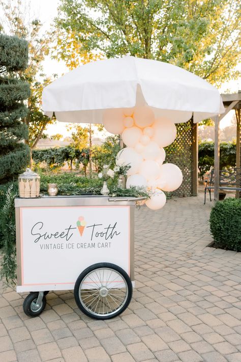 Ice Cream Catering, Ice Cream Wedding, Wedding Food Stations, Ice Cream Business, Ice Cream Maker Recipes, Ice Cream Cart, Ice Cream Brands, Diy Ice Cream, Vintage Ice Cream