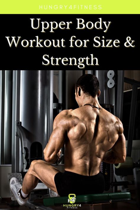 A weightlifter performing a seated row. Upper Body Workout For Men At Home, Upper Body Workout For Men Gym, Upper Body Calisthenics Workout, Shoulders And Arms Workout, Upper Body Workout For Men, Chest Back Workout, Upper Body Home Workout, Upper Body Training, Shoulder And Arm Workout