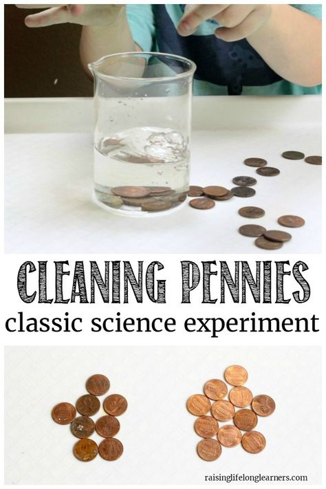 Clean Pennies, Cleaning Pennies, How To Clean Pennies, Science Experiments Kids Elementary, Experiments Kids, Chemistry Experiments, Kid Experiments, Easy Science Experiments, Science Activities For Kids