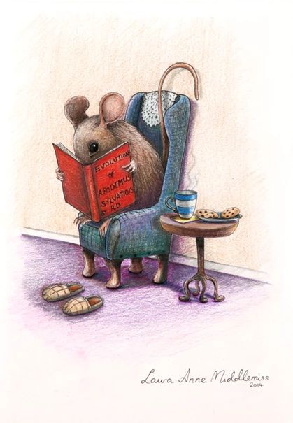 Good Morning Art, Animals Reading, Morning Art, Lovely Illustrations, Mouse Illustration, Funny Paintings, Delicious Cookies, Quirky Art, Cute Animal Drawings Kawaii