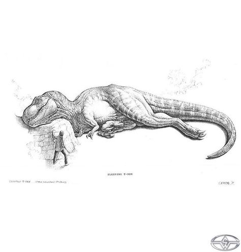 Unused sleeping T-rex concept art drawn by Mark 'Crash' McCreery for Steven Spielberg's Jurassic Park at Stan Winston Studio in 1991. . When Jurassic Park was still planned to be made with go-motion and the river raft sequence was still part of the script the Stan Winston Studio was commissioned to build an 1/5 scale animatronic model of a sleeping Tyrannosaurus for specific shots Spielberg originally wanted a full size sleeping rex but the idea was changed to the 1/5 scale model but as the refi Tyrannosaurus Rex Art, Sleeping Dinosaur, Dino Squad, Dinosaur 2000, Dinosaur Pencil, Storyboard Art, Jurassic Park Poster, Dinosaur Sketch, Dinosaur Tattoos