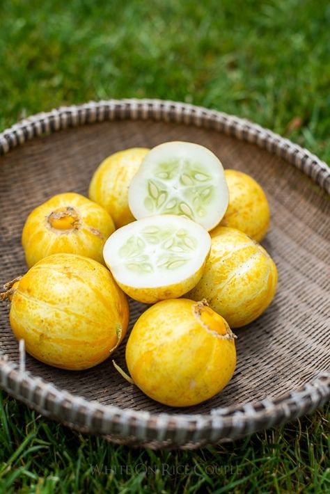 Yellow Cucumber, Harvest Ideas, Fancy Dishes, Lemon Cucumber, Cucumber Plant, Cucumber Seeds, Cucumber Recipes Salad, Cucumber Recipes, Garden Harvest