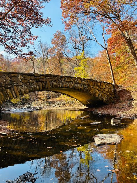 Washington DC Rock Creek Park Rock Creek Park Washington Dc, Rock Creek, Washington Dc, Washington, Pins, Quick Saves