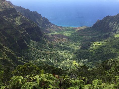 Puu o Kila Lookout Na Pali Coast, Poipu Beach, Hanalei Bay, Waimea Canyon, Find Instagram, Most Beautiful Gardens, Awesome Places, Helicopter Tour, Camping Experience