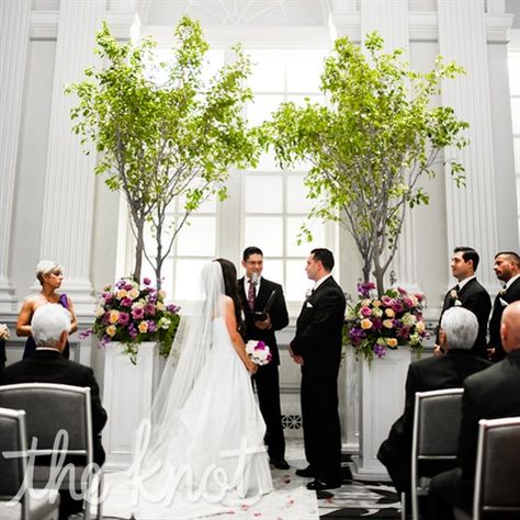 Janel and Nicholas’ wedding ceremony took place late in the afternoon where they read their own wedding vows. Their florist created the altar by using four fichus trees and using rose petals to line the aisle. Alters Wedding, Wedding Picture Backdrop, Ceremony Decorations Indoor, Altar Wedding, Wedding Ceremony Decorations Indoor, Inside Wedding, Wedding Alters, Indoor Tree, Wedding Ceremony Ideas