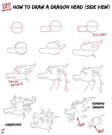 Dragon Head Side View, Head Side View, Dragon Head Drawing, Head Step By Step, Draw A Dragon, Head Reference, Drawing Dragon, Graphic Novel Illustration, Dragon Face