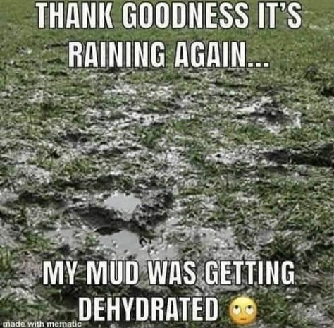 THANK GOODNESS IT'S RAINING AGAIN... MY MUD WAS GETTING DEHYDRATED #rain #weather Rain Humor, Rain Meme, Farm Jokes, Rainy Day Quotes, Gym Memes Funny, Weather Memes, Farm Humor, Funny Weather, Rain Quotes