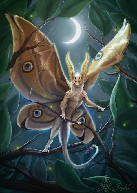 Moth Dragon, Moth Oc, Alien Species, Mythical Creatures Fantasy, Hybrid Art, Humanoid Creatures, Dragon Rpg, Creatures Art, Fairy Dragon