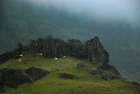 Iceland Countryside, Fantasy World, Icelandic Sheep, Mother Earth, Sheep Grazing, Dark Fantasy, Pretty Places, Heaven On Earth, Go Outside