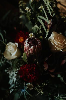 Backyard Fall Wedding, White Rose Wedding, White Rose Wedding Bouquet, White Roses Wedding, Green Ideas, England Photography, Rustic Wedding Bouquet, Rose Wedding Bouquet, Flowers Ideas