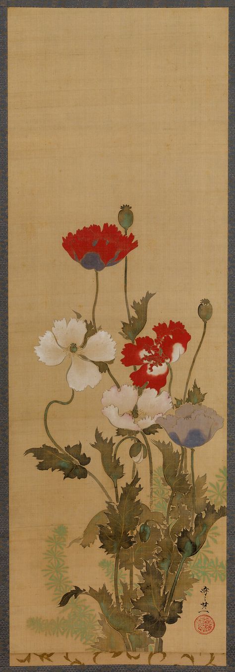 Suzuki Kiitsu "Poppies" mid 19th Century Hanging scroll | Flickr Japan Painting, Art Chinois, Japanese Artwork, Eastern Art, Japanese Flowers, Art Japonais, Japanese Woodblock Printing, Japanese Painting, Japan Art