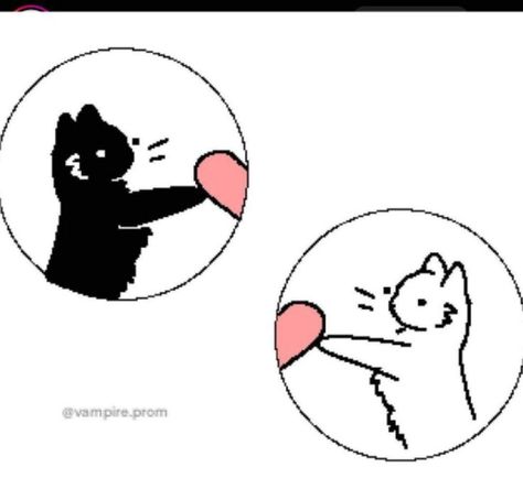 Cute Matching Pfp Couples Cat And Dog, Match Profile Couple, Matching Pfp Mushroom, Gaming Matching Pfp Couple, Matching Pfp Circle, Matching Pics Couple, Cat Icon Matching, Subtle Matching Pfp, Matching Pfp Les Couple