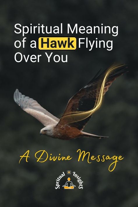 Spiritual Meaning of a Hawk Flying Over You – A Divine Message Hawk Meaning, Hawk Symbolism, Hawk Flying, Spirit Animal Meaning, Animal Meanings, Spiritual Animal, Sick Remedies, Animal Spirit Guides, Energy Healing Spirituality