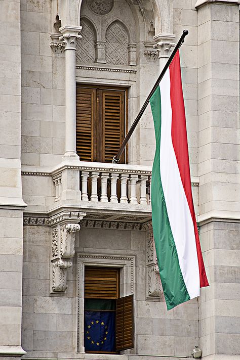 Hungarian Flag at Parliament Hungarian Princess, Hungarian Aesthetic, Hungary Aesthetic, Hungarian Flag, Disease Quote, Autumn Wallpapers, Hungary Flag, Turkey Flag, Travis Scott Wallpapers