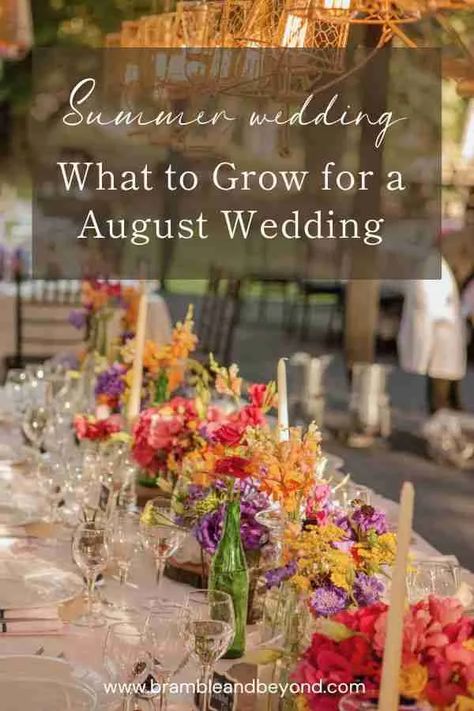 Late Summer Flower Wedding: Flowers to Grow for an August Wedding 1 Summer Flower Wedding, August Wedding Flowers, Budget Flowers, Wedding August, August Flowers, Flowers To Grow, Late Summer Flowers, Wedding Flower Guide, Sustainable Flowers