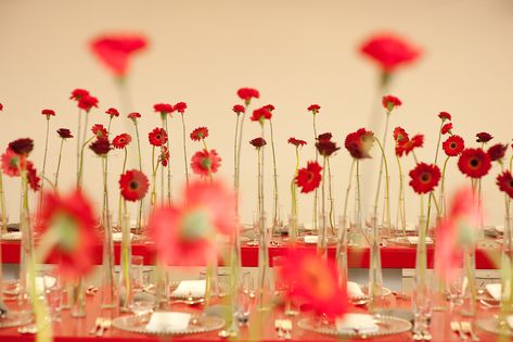 Parties Dinners | Simon Lycett - Royal Florist - Celebrity Florist Single Stem Centerpiece, Gerbera Daisy Centerpiece, Gerbera Wedding, Daisy Centerpieces, Daisy Decorations, Multicolor Wedding, Stem Flowers, Red Carnation, Wedding Event Venues