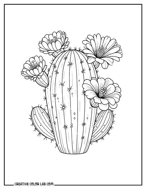 Flower Coloring Pages For Kids, Cactus Outline, Flower Coloring Sheets, Sunflower Coloring Pages, Printable Flower Coloring Pages, Cactus Drawing, Flowers Coloring, Spring Coloring Pages, Coloring Pages Free Printable