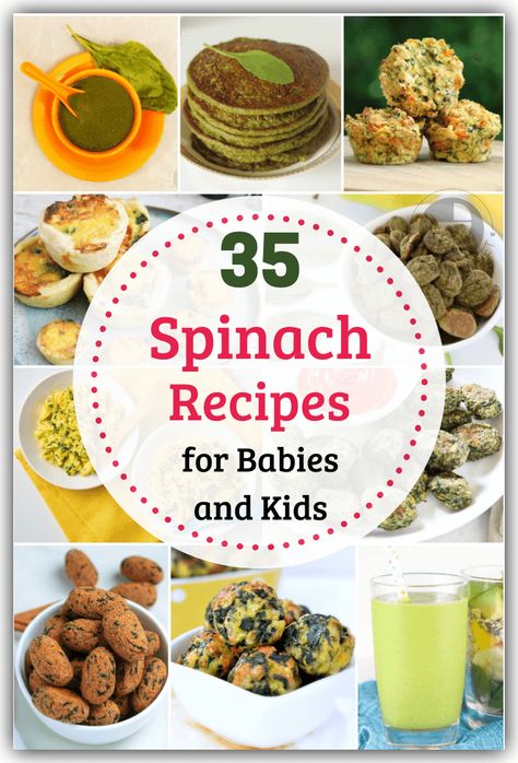 Kids turning away from spinach? We have you covered! Check out our healthy spinach recipes for babies and kids, perfect for all the fussy eaters out there! Spinach Recipes For Picky Eaters, Baby Food With Spinach, Spinach Recipe For Baby, Hidden Spinach Recipes Kid, Spinach Blw Recipes, Spinach For Babies, Spinach For Toddlers, Spinach Recipes For Baby, Spinach Blw