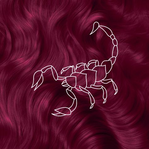 Hey b*tches, it's Scorpio szn. How in-tune are you with your Scorpio traits?? Check out our story and let us know which you relate to the most #scorpio Twitter Header Quotes, Scorpio Traits, Scorpio Zodiac, Dark Pink, Fantasy World, Holy Spirit, Pretty Hairstyles, Red Hair, Zodiac Signs