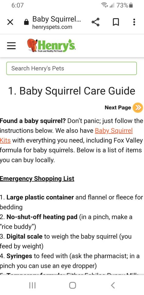 Baby Squirrel Care, Pet Recipes, Pet 1, Baby Squirrel, Healthy Pets, Food Animals, Pet