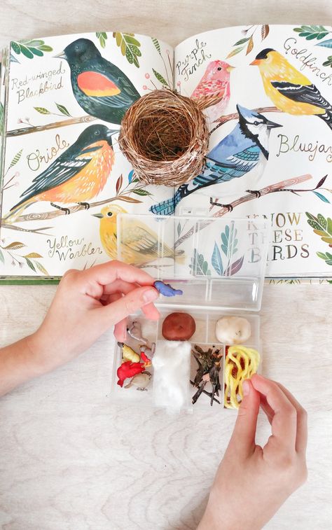 Playful Pioneers, Bird Study, Playdough Kit, Homeschool Nature Study, Unit Studies Homeschool, Nest Building, Nature School, New Brunswick Canada, Playdough Kits