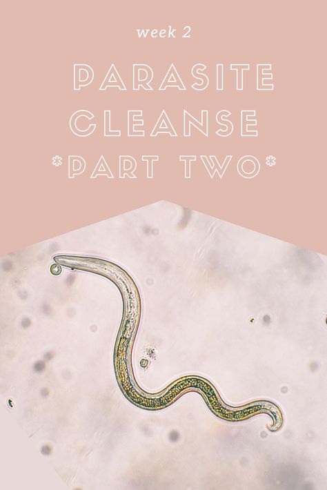 Parasite Cleanse - Part 2 - Week 2 Follow me as I continue to cleanse me body of parasites. What does cleansing under quarantine actually look like? Die Off Symptoms, Turmeric Shots, Kidney Pain, Types Of Snacks, Parasite Cleanse, Nutrition Guidelines, Kidney Cleanse, Oregano Oil, Cleanse Me