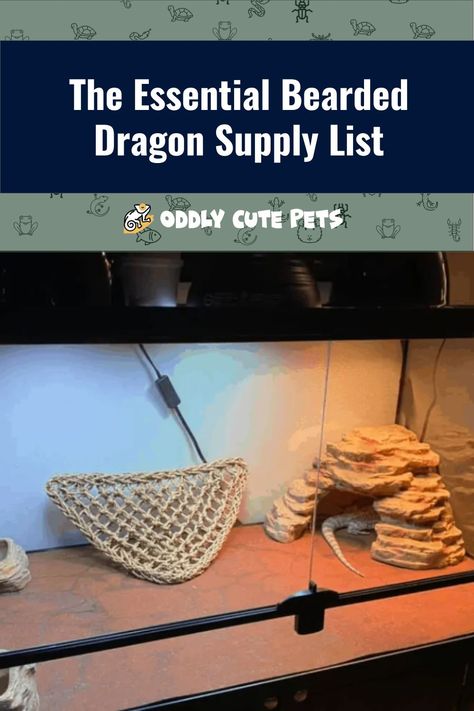 Basic Bearded Dragon Set Up, Bearded Dragon Essentials, Bearded Dragon Setup, Lizard Habitat, Bearded Dragon Habitat, Reptile Habitat, Supply List, Happy And Healthy, Bearded Dragon