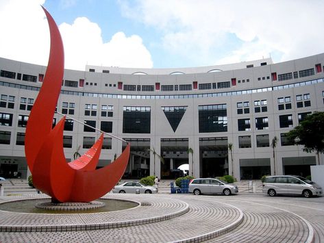 Hong Kong University, Hong Kong Photography, Dream School, Top Universities, Photography Illustration, Family Photo, Science And Technology, Family Photos, Hong Kong