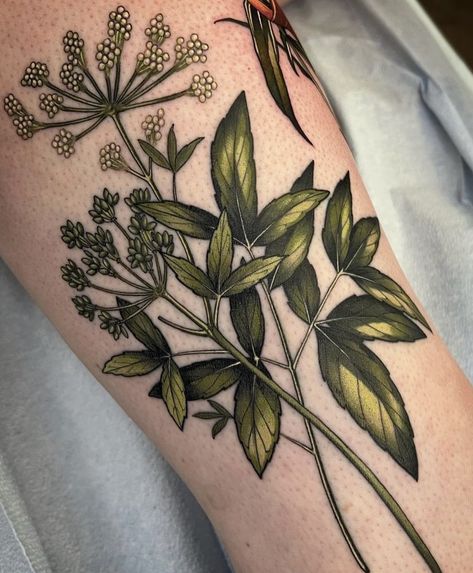 Hemlock Tattoo, Scar Cover Up, Plant Tattoo, Botanical Tattoo, Cover Up Tattoo, Leg Sleeves, Tattoo Placement, Forearm Tattoo, Mailing List