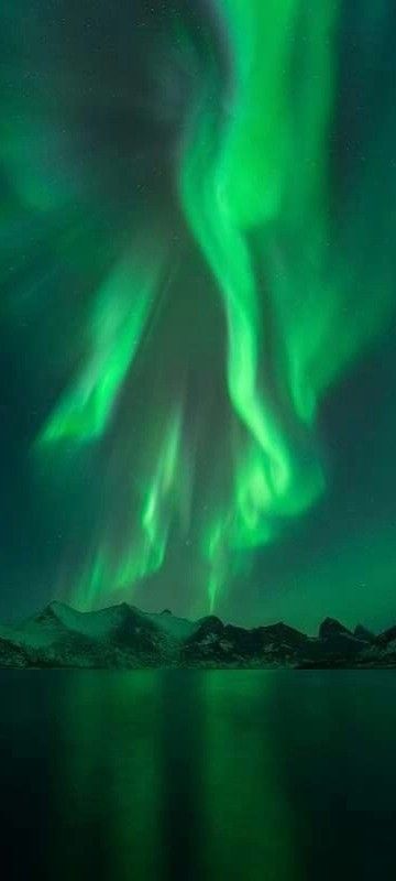 Aurora Borealis Green, Green Northern Lights, Northern Lights Wallpaper, Green Aurora Borealis, Green Aurora, Northern Light, Green Aesthetic, Aurora Borealis, Neon Green