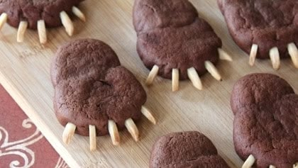 Chocolate Bear Paws | Disney News Sloth Party Food, Bear Claw Cookies, Animal Themed Food, Safari Snacks, Woodland Baby Shower Theme Decorations, Woodland Baby Shower Theme Boy, Woodland Baby Shower Food, Brave Birthday Party, Sloth Party