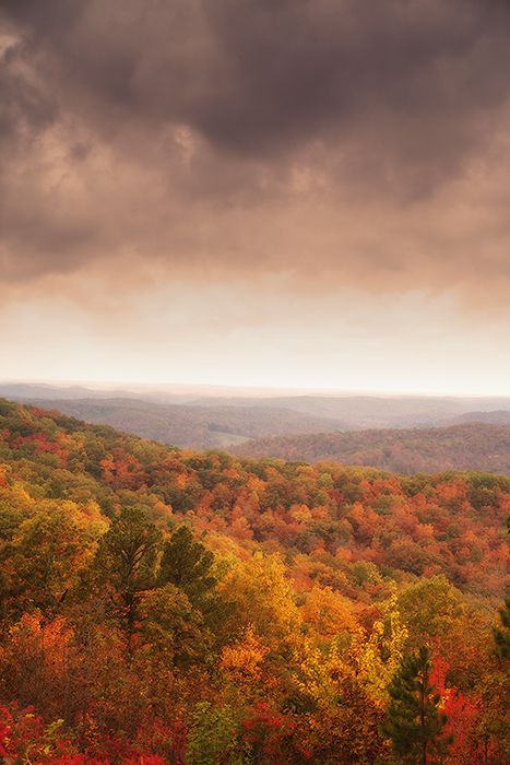 Missouri Ozark Fall Mill Tour |  on WordPress.com ! Fall In Missouri, Ozark Mountains Missouri, Missouri Aesthetic, Branson Christmas, Ozarks Missouri, Skyline Drive, Branson Missouri, Ozark Mountains, Oh The Places Youll Go