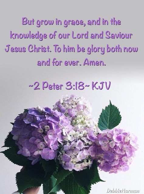 But grow in grace, and in the knowledge of our Lord and Saviour Jesus Christ. To him be glory both now and for ever. Amen. Bible Verses Kjv, King James Bible Verses, Grow In Grace, Prayers For Children, Bible Promises, About Jesus, 2 Peter, Spiritual Words, Encouraging Scripture