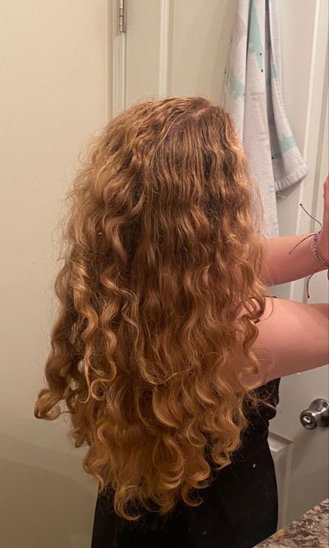 Long Curly Strawberry Blonde Hair, Strawberry Blonde Hair Curly Natural, Blonde 2b Hair, Blonde Hair Wavy Natural, Natural Blonde Curls, 2c Blonde Hair, 2c Hair Aesthetic, Strawberry Blonde Wavy Hair, Perfect Hair Aesthetic