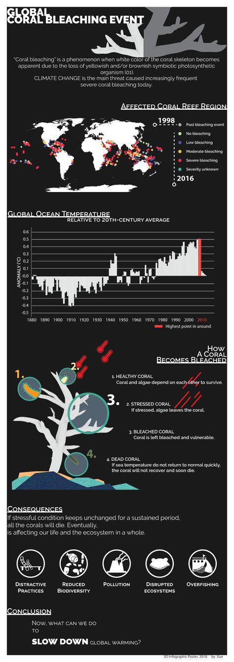 Global Coral Bleaching Event - Infographic Poster on Behance Coral Bleaching Infographic, Event Infographic, Coral Bleaching, Infographic Poster, Information Poster, Coral Shorts, Information Graphics, 3d Illustrations, Coral Reefs