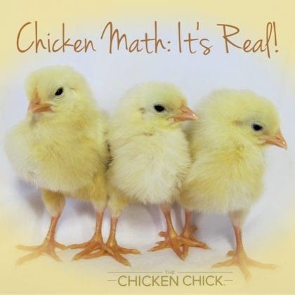 Chicken Care | The Chicken Chick® Chicken Math, Chicken Chick, Force Of Nature, Ipad App, A Force, Raising Chickens, The Chicken, Chickens Backyard, Flocking