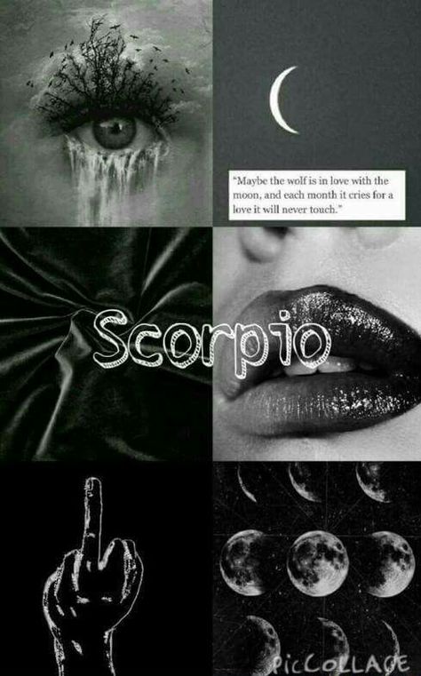 ~ Zodiac Scorpio Vibes Aesthetic, Wallpaper Sassy, Nocturnal Witch, Scorpio Pictures, Zodiac Quotes Scorpio, Black Moon Lilith, Scorpio Art, Scorpio Women, Zodiac Scorpio