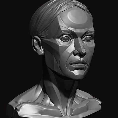 Maria Panfilova в Instagram: «I made planar face as an exercise a while ago. Now trying to rework and finish it #zbrush #anatomy #head #sculpture» Anatomy Head, Zbrush Anatomy, Planes Of The Face, Face Proportions, Head Anatomy, Facial Anatomy, Face Outline, Face Line Drawing, Female Face Drawing