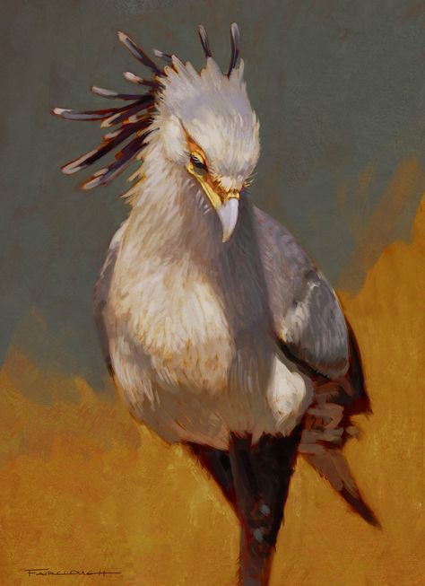 Bird Looking Down, Secretary Birds, Cute Bird Illustration, Bird Aesthetic, Bird Person, Bird Study, Secretary Bird, Bird Reference, Animal Study