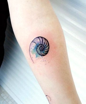 Tattoos Artistic, Nautilus Tattoo, Golden Ratio Tattoo, Coral Tattoo, Snail Tattoo, Fibonacci Tattoo, Beach Tattoos, Stained Glass Tattoo, Content Photos