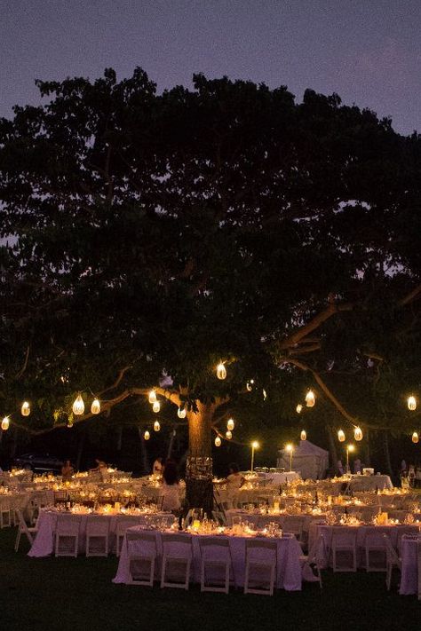 Romantic lanterns in a tree Lanterns In Trees, Rapunzel Wedding Theme, Outdoor Night Wedding, Wedding Ideas 2024, Rapunzel Wedding, Tangled Wedding, Decorations On A Budget, Dream Wedding Reception, Forest Theme Wedding