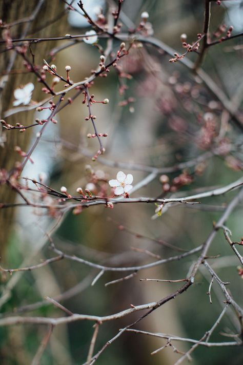 Coastal Background, March Aesthetic, Spring Moodboard, Wallpaper Beach, Coastal Wallpaper, Spring Inspo, Spring Awakening, Garden Aesthetic, Spring Equinox