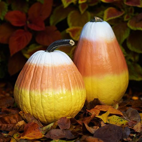 Candy Corn Pumpkins  Place these colorful no-carve pumpkin decorations around your yard for a fun display this season. Choose cone-shape pumpkins and clean their surfaces. Spray-paint the bottoms and tops of the pumpkins, gradually getting lighter toward the middle to achieve the candy-corn effect.  Editors Tip: Cover stems with painter's tape to keep clean. Candy Corn Decorations, Labu Halloween, No Carve Pumpkin Decorating, Halloween Decor Diy, Pumpkin Candy Corn, Hallowen Ideas, Diy Halloween Decor, Adornos Halloween, Pumpkin Candy