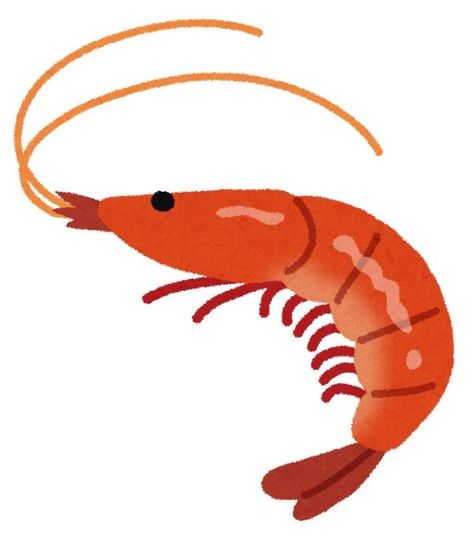 Shrimp Cartoon, Fish Drawings, Origami Stars, Anime Guys Shirtless, Cute Doodles Drawings, Animal Posters, Nature Illustration, Marker Art, Logo Concept